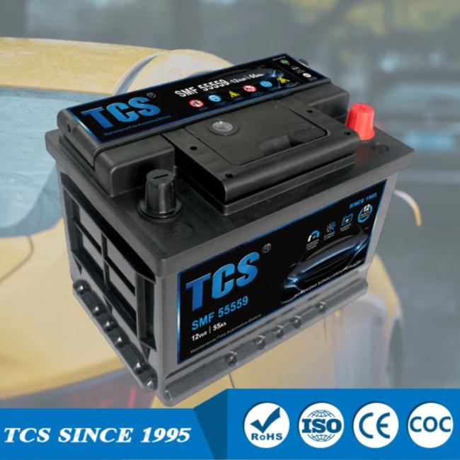 Auto Electrical System |  Tcs Factory Price 55559mf CCA560 55ah Super Capacitor Car Battery Supplier of Car Batteries AGM Battery Automotive for Mine Vehicle