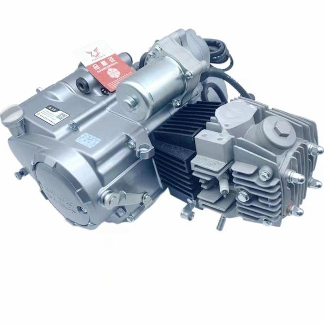 Motorcycle Engine |  Factory Sale Zongshen 110cc 1-Cylinder 4-Stroke Air-Cooled Horizontal Motorcycle Engine for Bajaj